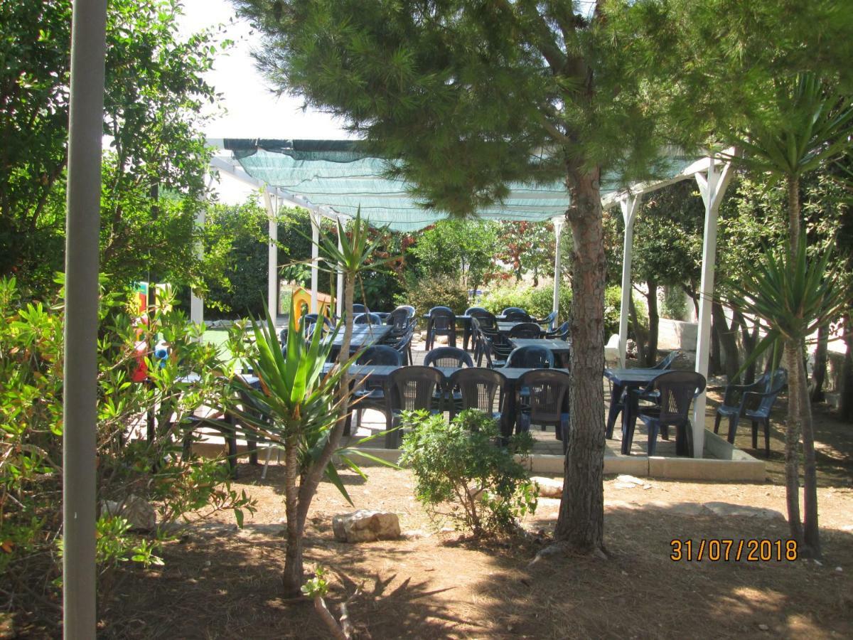 Pescandora Bisceglie Dış mekan fotoğraf